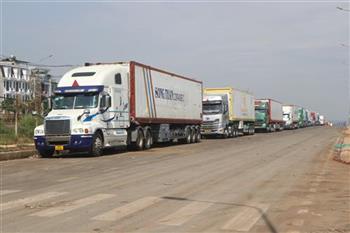 Hình ảnh hàng trăm xe container sầu riêng đậu chiếm các tuyến đường quanh Bến xe Dầu Giây