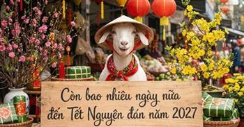 Những nhóm lao động được nghỉ Tết Nguyên đán 2027 tới 12 ngày